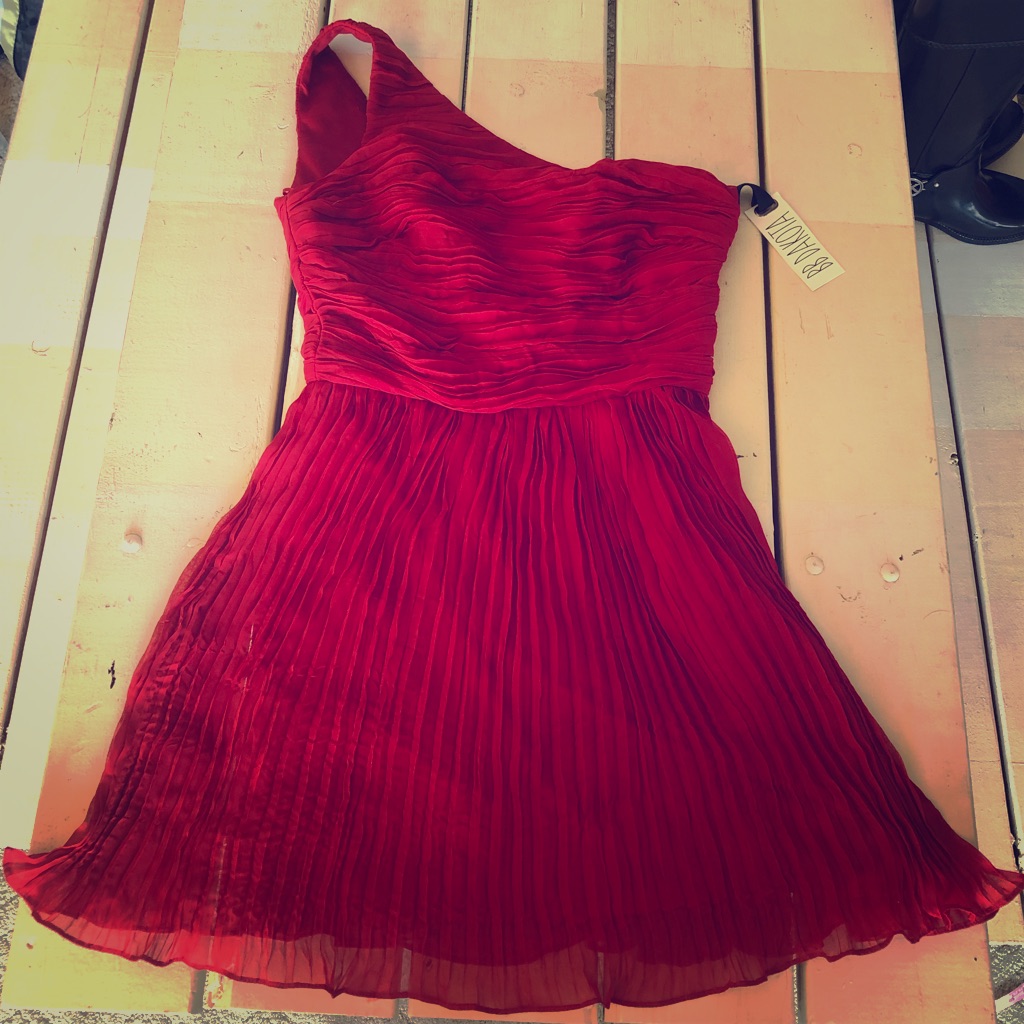 Bb Dakota Lewiston Dress 8